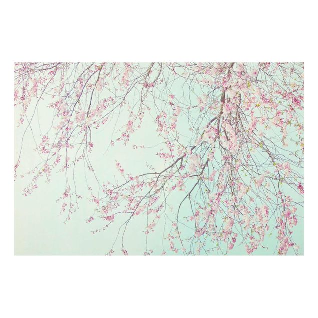 Tableaux turquoise Aspiration d'une fleur de cerisier
