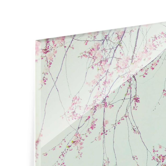Tableaux en verre magnétique Aspiration d'une fleur de cerisier