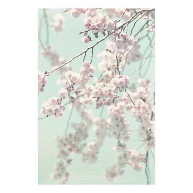 Tableaux muraux Dancing Cherry Blossoms On Canvas