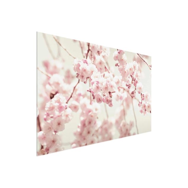 tableaux floraux Fleurs de cerisier dansantes