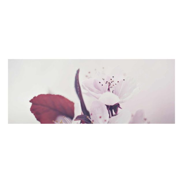 Tableaux rose Branche de fleurs de cerisier en rose antique