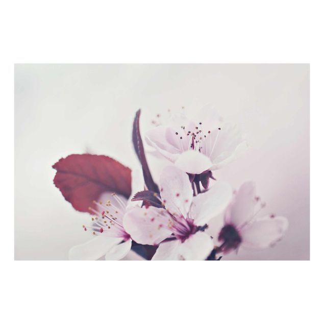 Tableaux rose Branche de fleurs de cerisier en rose antique