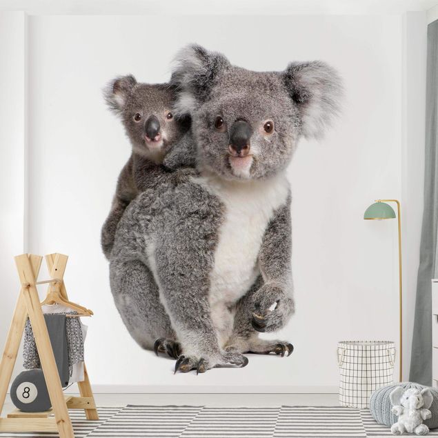 Décoration chambre bébé Ours Koala