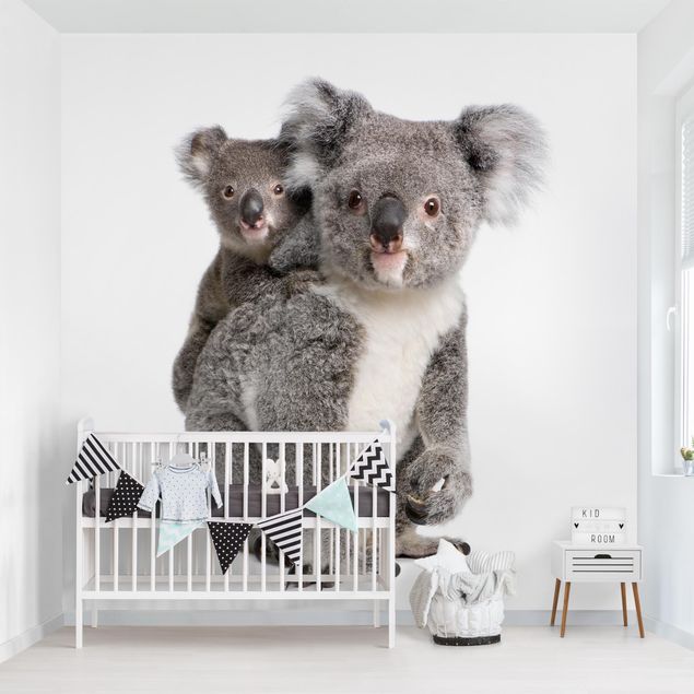 Papier peint animaux forêt Ours Koala