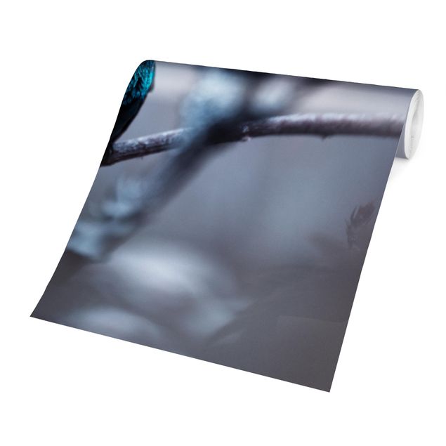 Papier peint panoramique Colibri en hiver