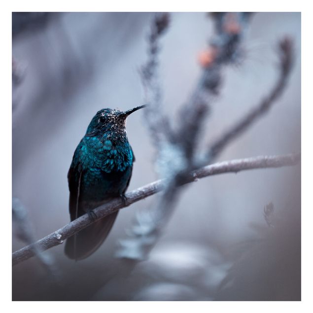 Papier peint - Hummingbird In Winter