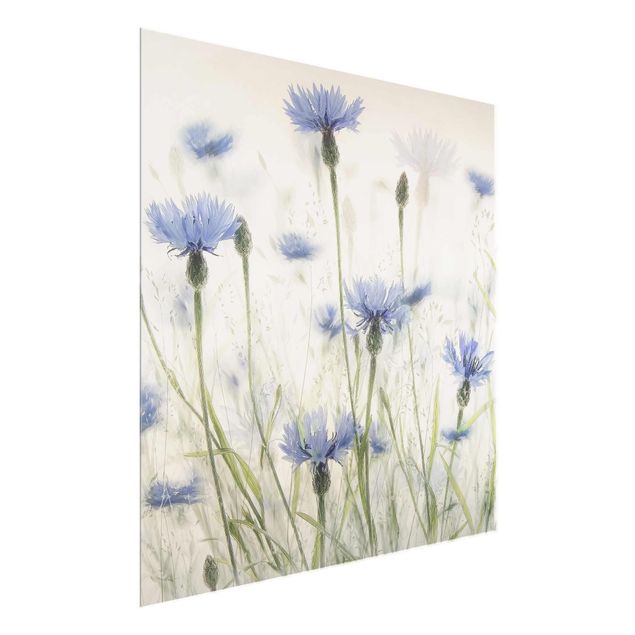 tableaux floraux Bleuets et Herbes dans un champ