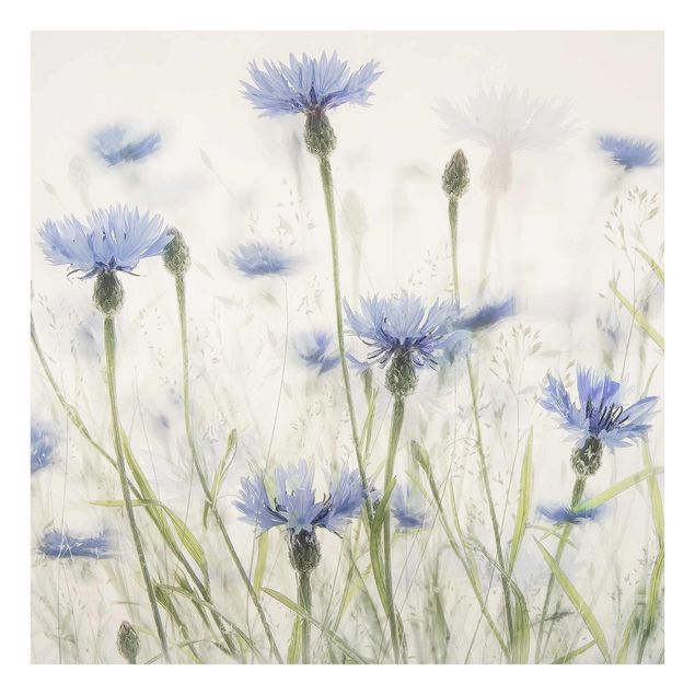 Tableaux lilas Bleuets et Herbes dans un champ