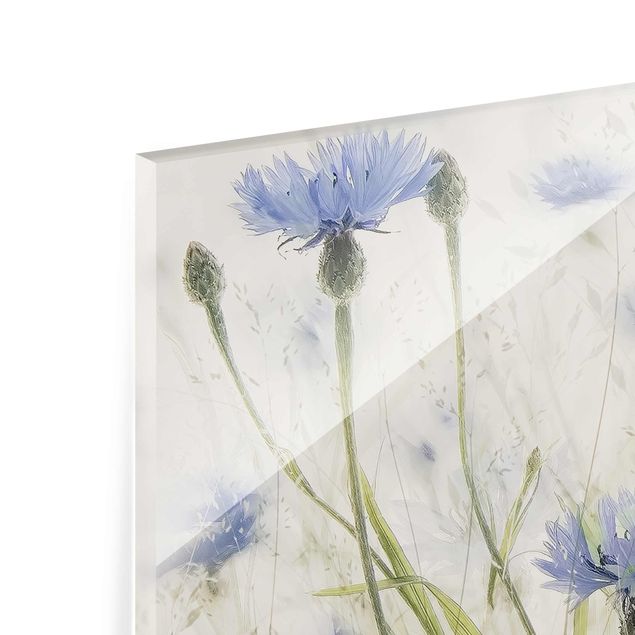 Tableaux en verre magnétique Bleuets et Herbes dans un champ