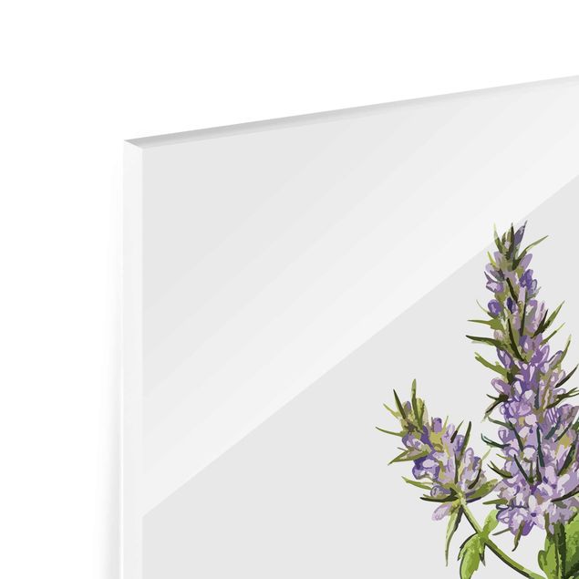 Tableaux en verre magnétique Illustration d'herbes aromatiques Menthe poivrée