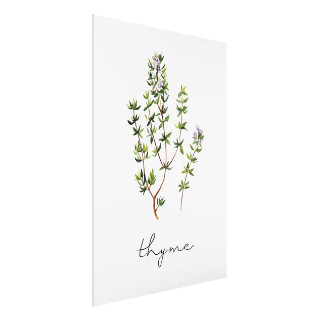 tableaux floraux Illustration d'herbes aromatiques Thym