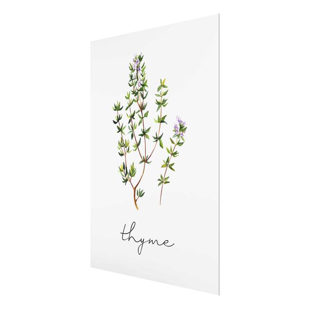 Tableaux muraux Illustration d'herbes aromatiques Thym