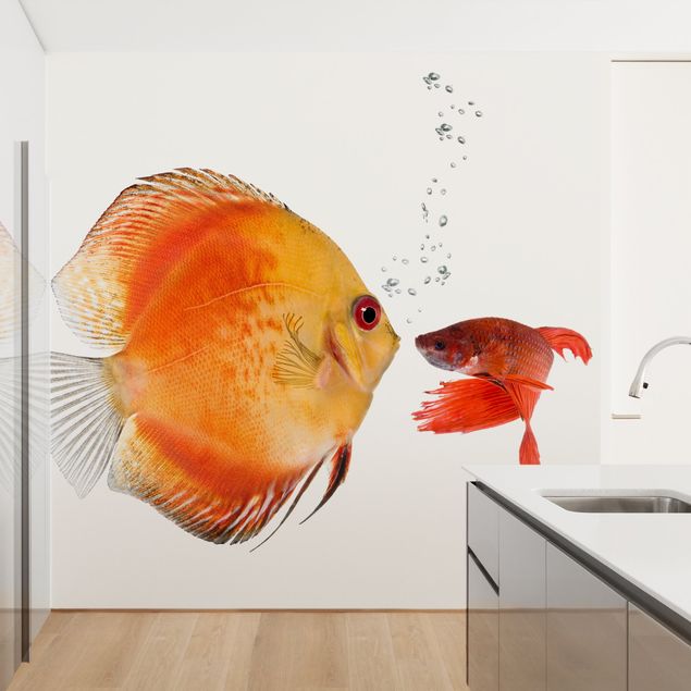 Papier peint poissons Kissing Fish