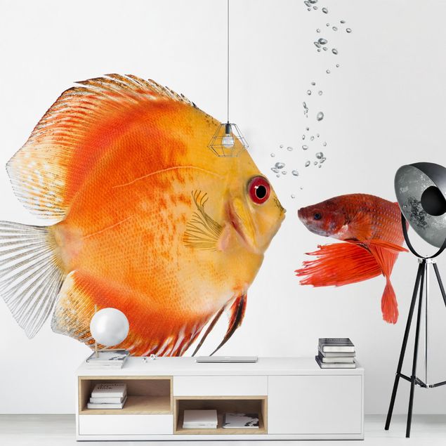 Papier peint moderne Kissing Fish