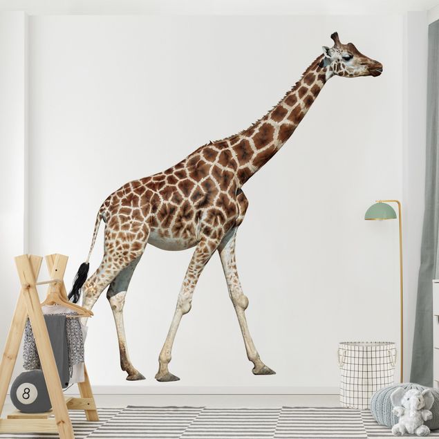 Papier peint animaux Girafe qui court