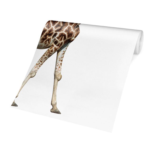 Papiers peints blancs Girafe qui court