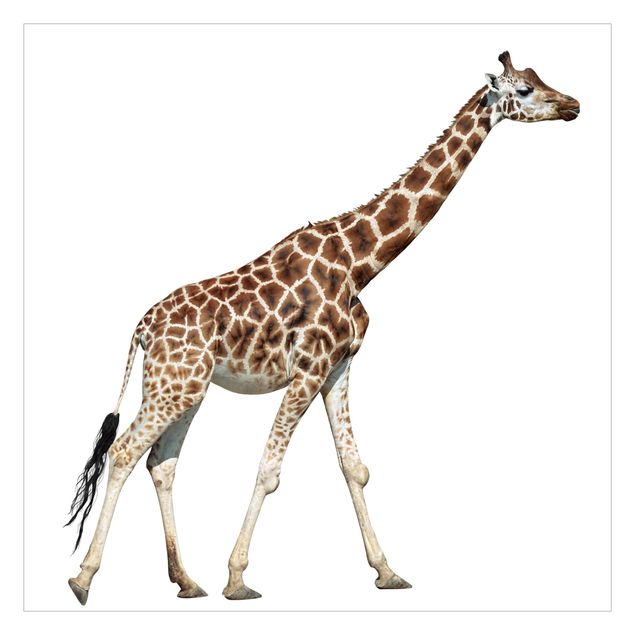 Papier peint panoramique Girafe qui court