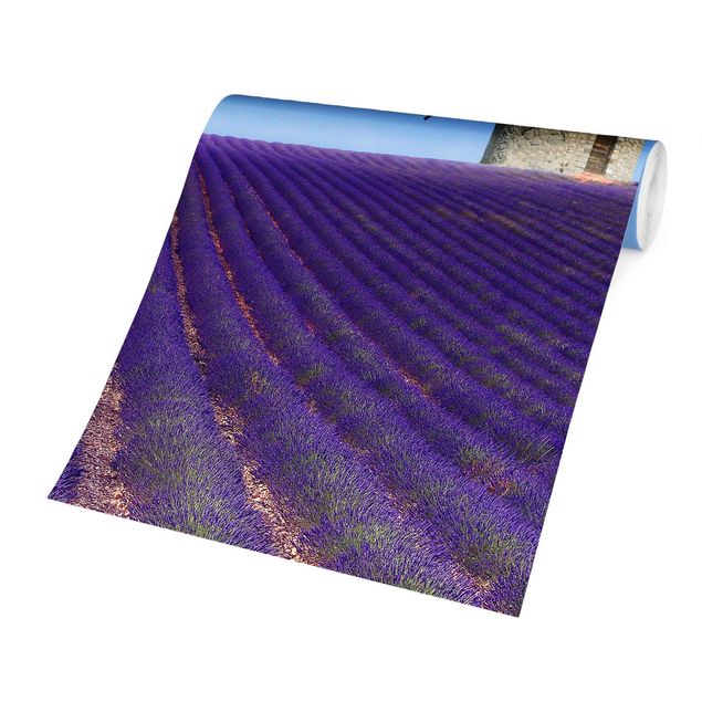 Papier peint panoramique Senteur de lavande en Provence