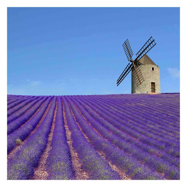 Papier peint - Lavender Scent In The Provence
