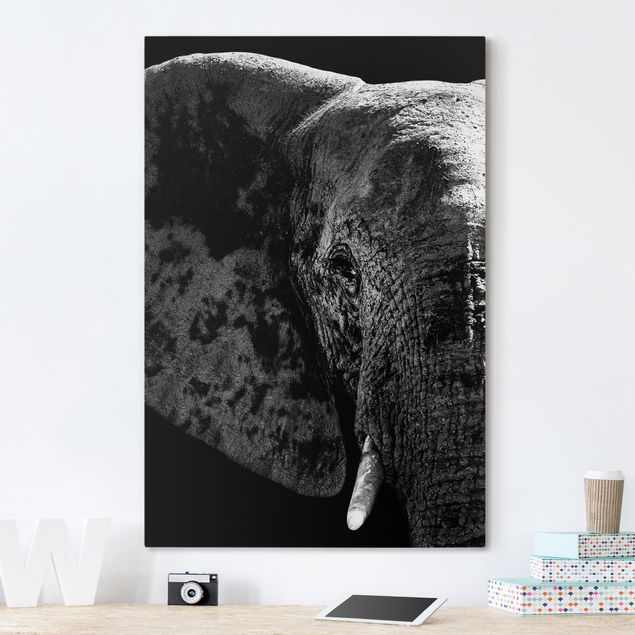 Toile imprimee elephant Éléphant d'Afrique noir et blanc