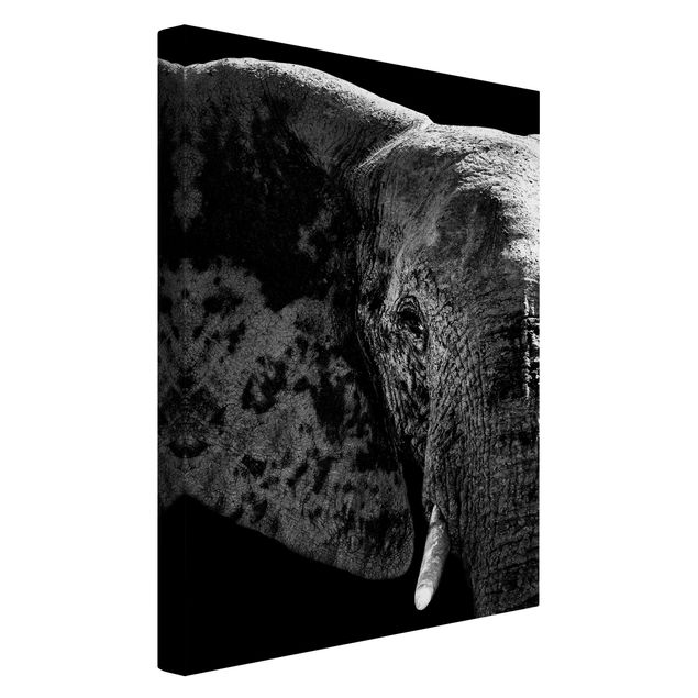 Tableau toile afrique Éléphant d'Afrique noir et blanc