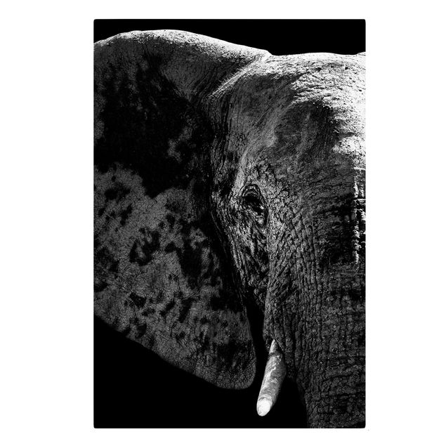 Tableaux sur toile en noir et blanc Éléphant d'Afrique noir et blanc
