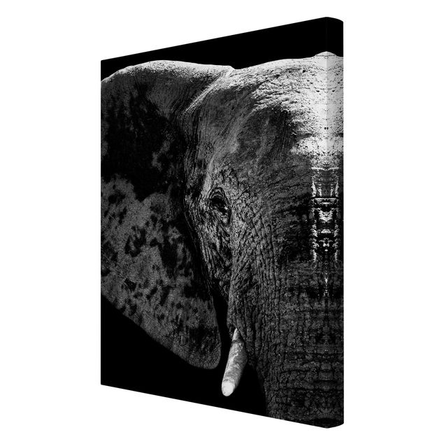 Tableaux moderne Éléphant d'Afrique noir et blanc