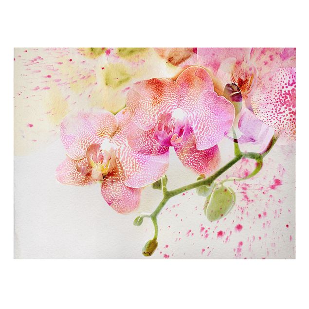Tableau fleurs Fleurs aquarelle Orchidées