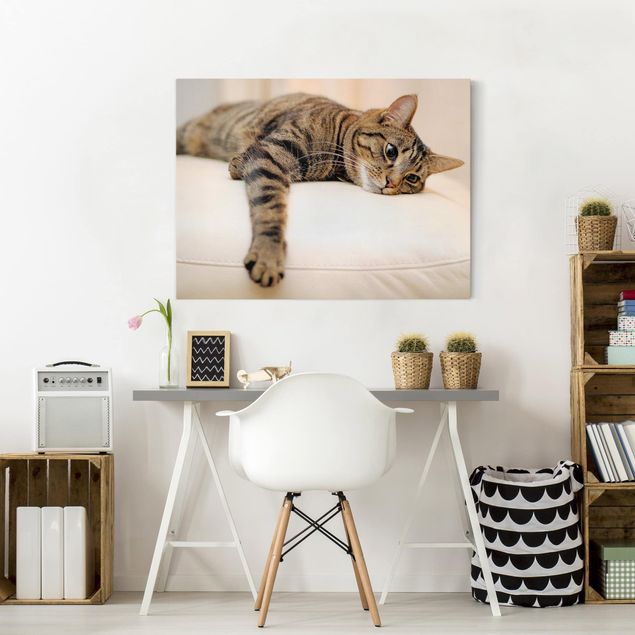 Tableau toile chat Chat Chill Out