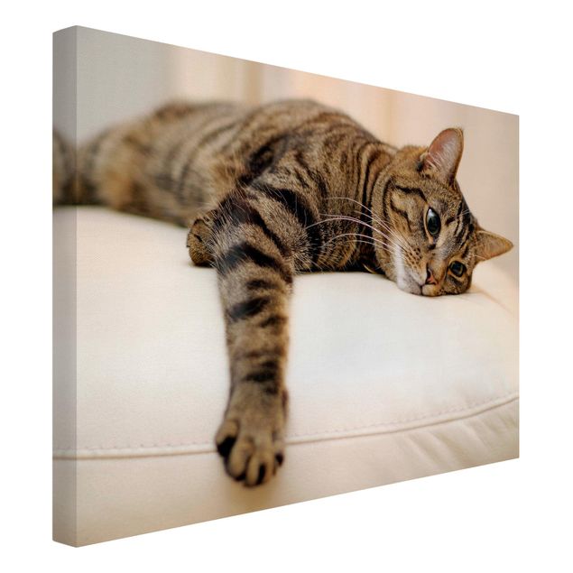 Tableau toile tigre Chat Chill Out