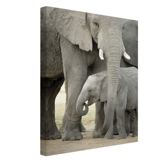 Tableau moderne Elephant Love