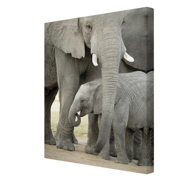 Tableau afrique Elephant Love
