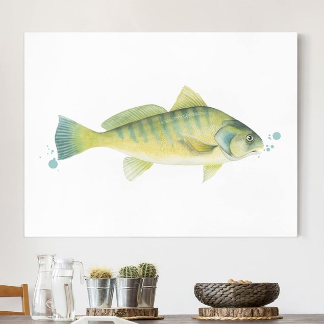 Tableau poissons Color Catch - Perche