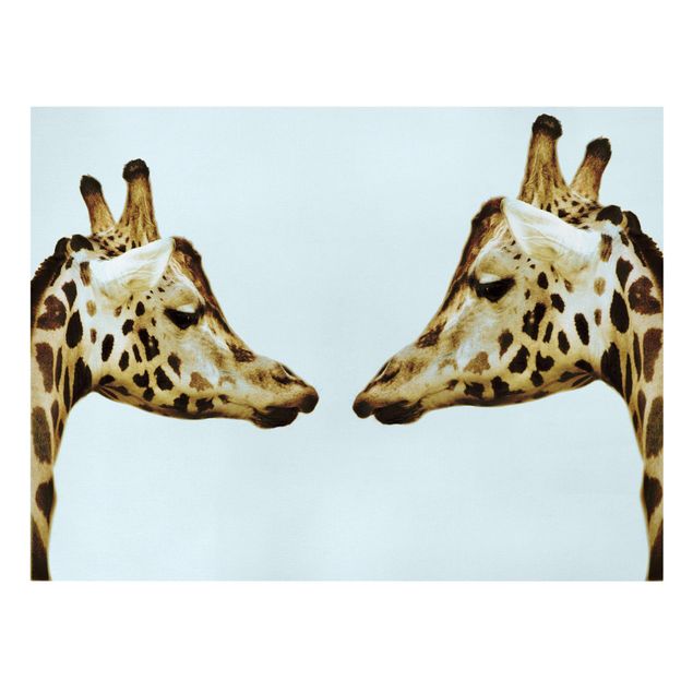 Tableau animaux Girafes en amour