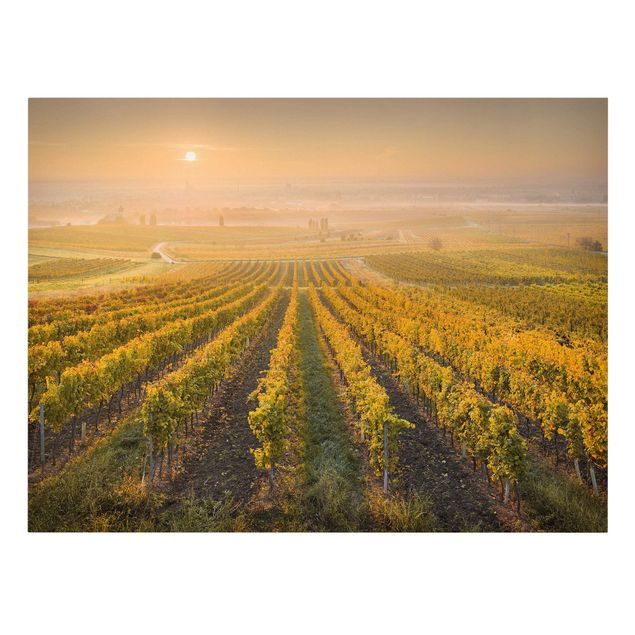 Tableau moderne Vignobles d'automne près de Vienne