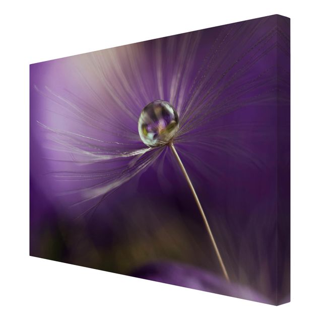 Tableau lilas Pissenlit en violet