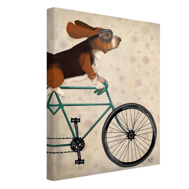 Toile chien Cyclisme - Basset à vélo