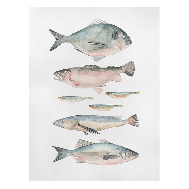 Tableaux animaux Sept poissons à l'aquarelle II