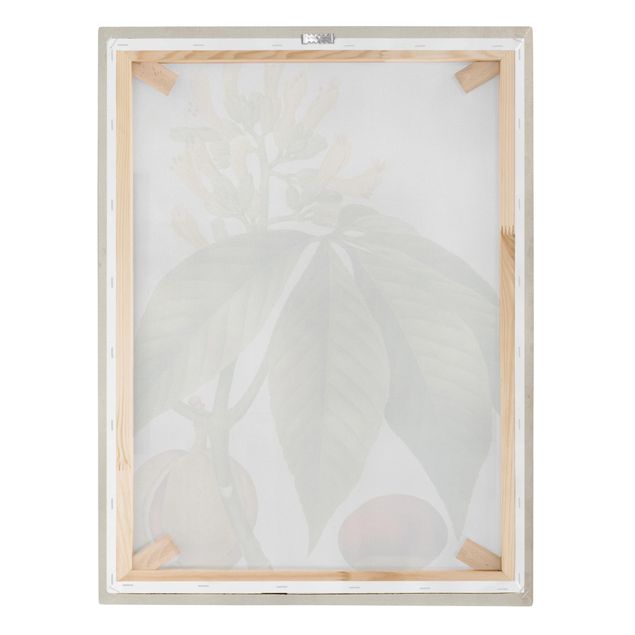 Impressions sur toile Tableau Leaf Flower Fruit VI