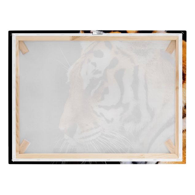 Tableau toile animaux Beauté du tigre