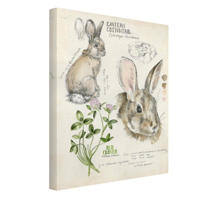 Tableau animaux Journal de la nature sauvage - Lapin