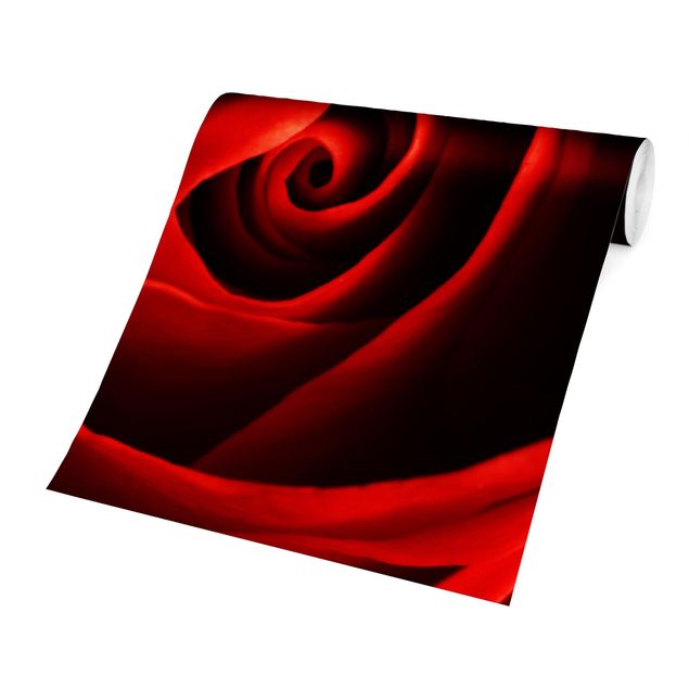 Papiers peints rouges Belle Rose