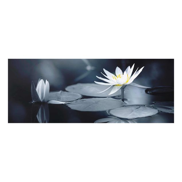 tableaux floraux Reflet de lotus dans l'eau