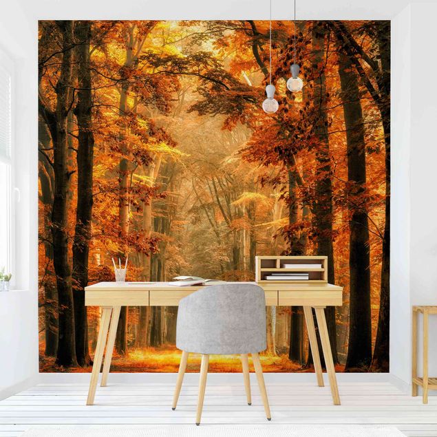Papier peint moderne Forêt enchantée en automne