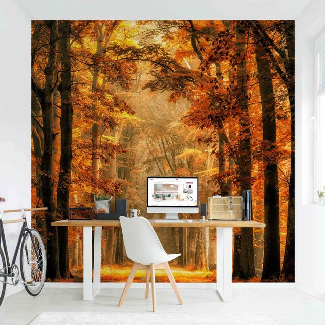 Papier peint forêt Forêt enchantée en automne