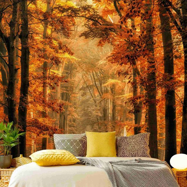 Papier peint paysage Forêt enchantée en automne