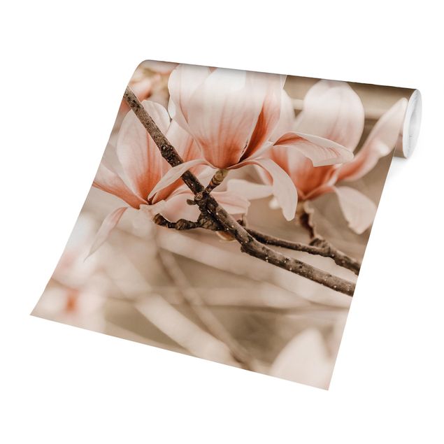 Papier peint marron Rameau de magnolia style vintage