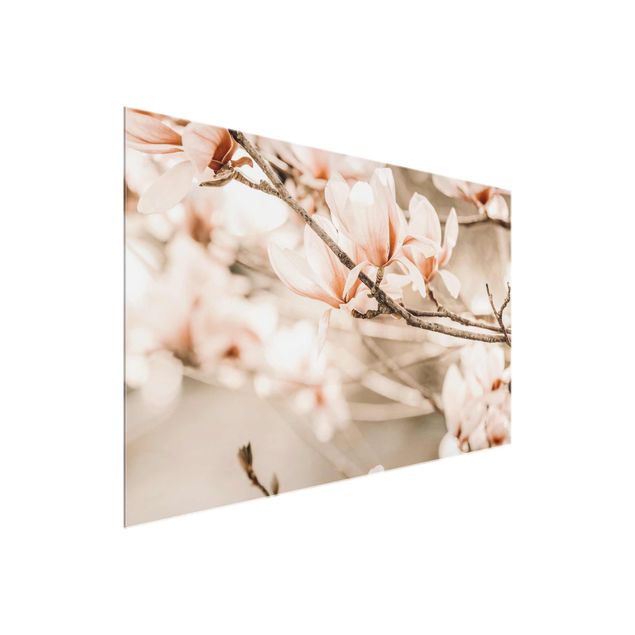 Tableaux modernes Rameau de magnolia style vintage