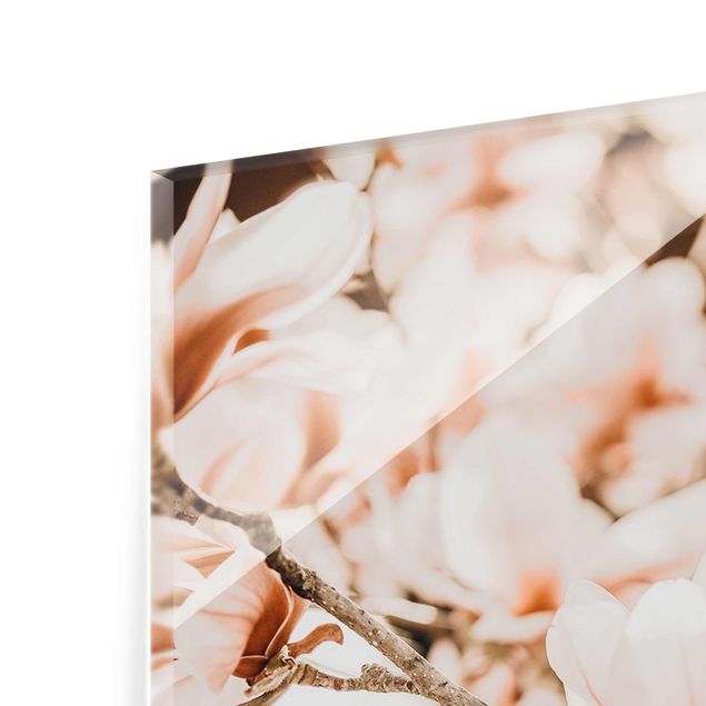 Tableaux marron Rameau de magnolia style vintage