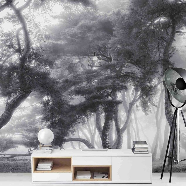 Papier peint forêt Arbres majestueux en noir et blanc